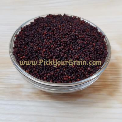 Finger Millet Grain Millet- PickYourGrain