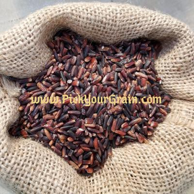 Black Rice Rice- PickYourGrain