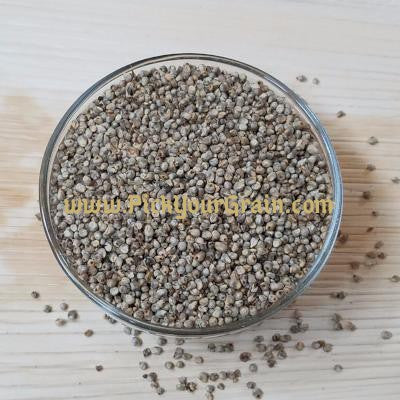 Pearl Millet Grain Millet- PickYourGrain