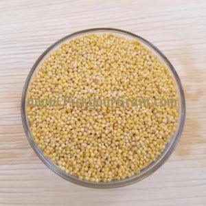 Proso Millet Grain Millet- PickYourGrain